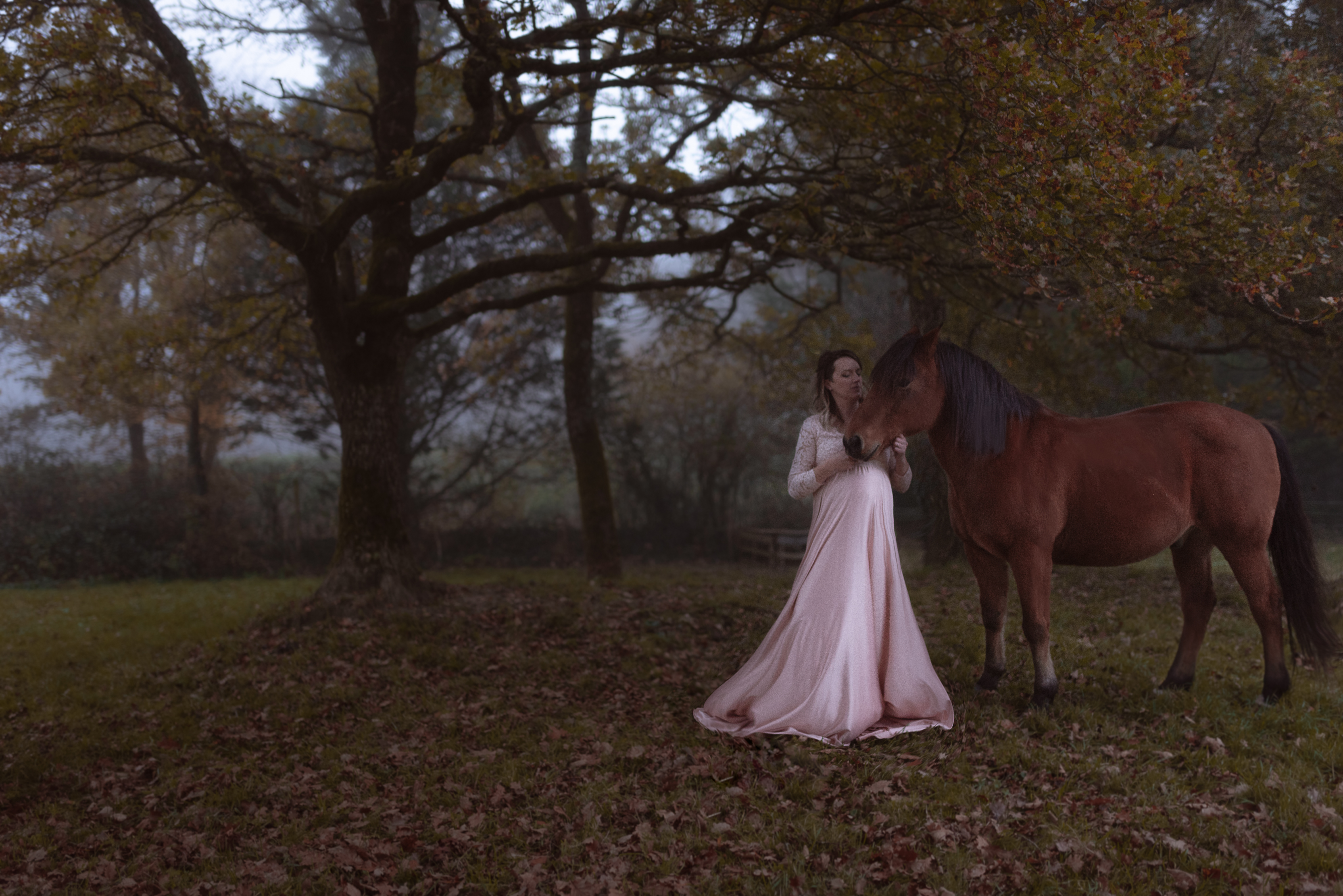 séance photo grossesse avec un cheval en Vendée Aizeany